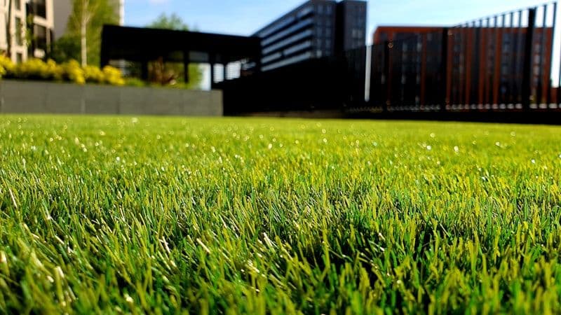 Paysagiste / Jardinier - 2
