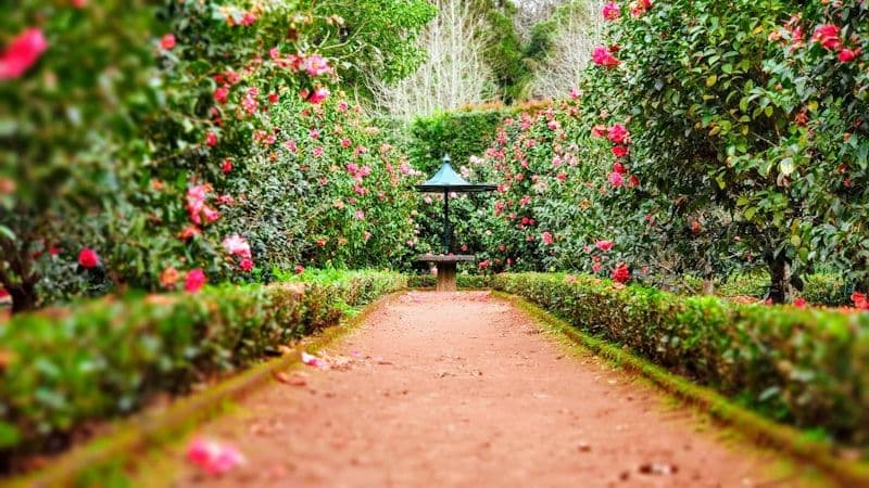 Paysagiste / Jardinier